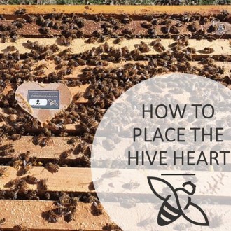 Snímač úlu Bee Heart