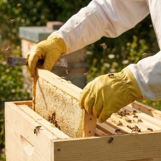 Rukavice včelařské - impregnované - vel.: S-XXL